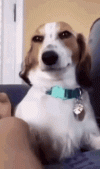 1687553602028.gif