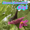 Have A Nice Day GIF by Djemilah Birnie