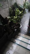 IMG_20240827_162153_1.jpg