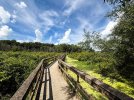 Audubon Wetlands Trail Boardwalk.jpg