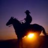 Voodoo Cowboy