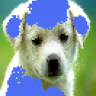 bloo