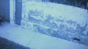 889.gif