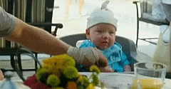 thehangover5.gif