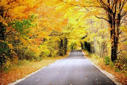 fall-color.jpg