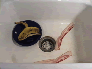 bacon-3.gif