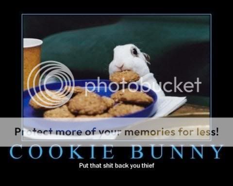 cookiebunny.jpg