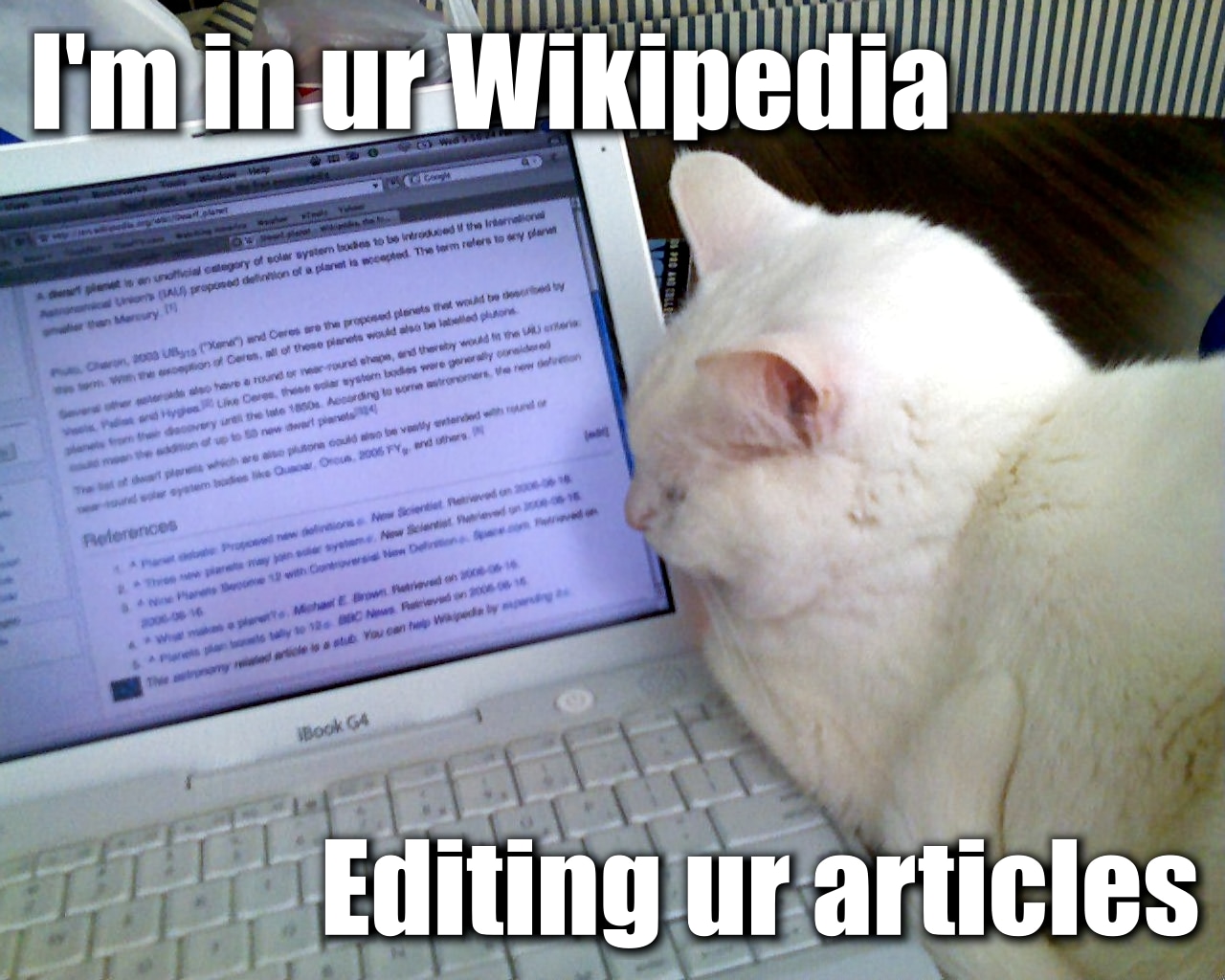 Wikipedia-lolcat.jpg
