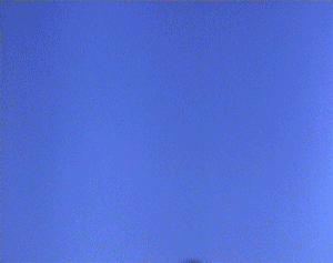 2vw7klc.gif